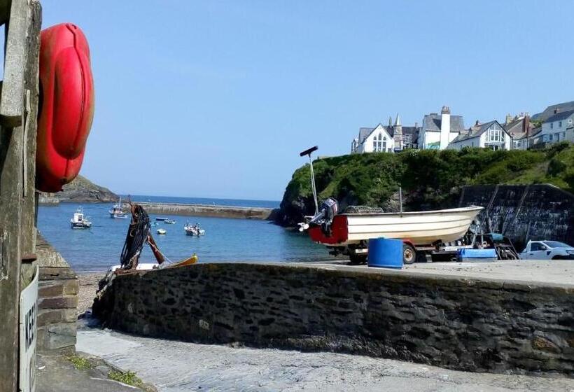 The White Cottage B&b