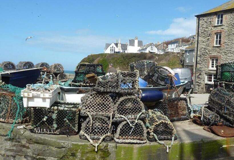 The White Cottage B&b