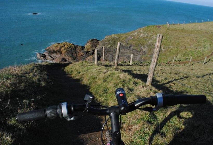 The White Cottage B&b