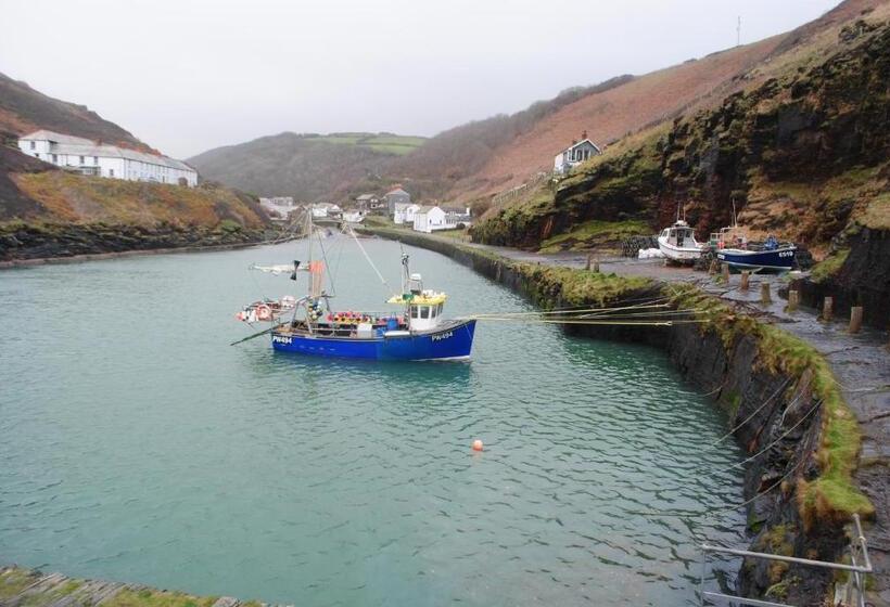 The White Cottage B&b