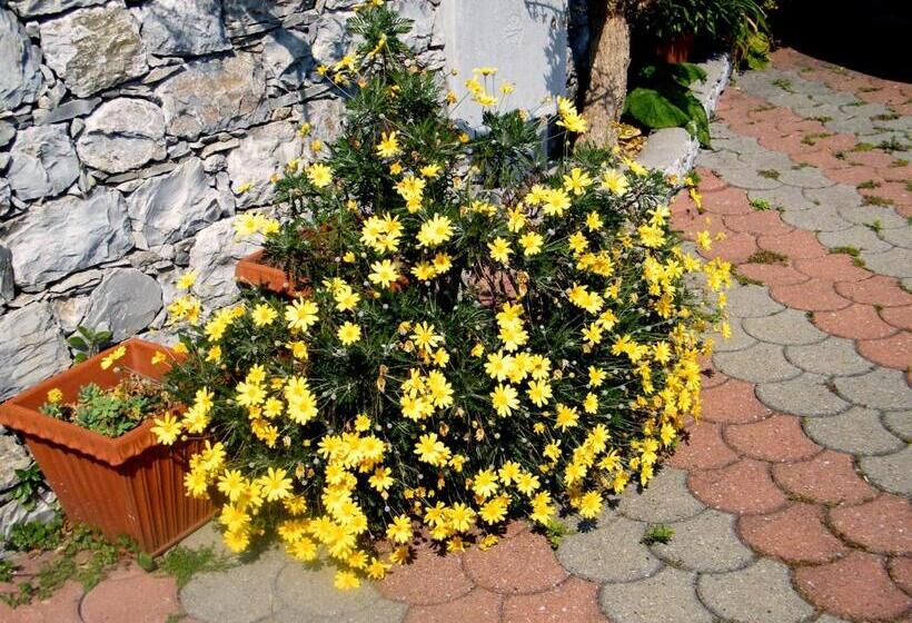 B&b Alle Ortensie Blu