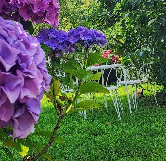 B&b Alle Ortensie Blu