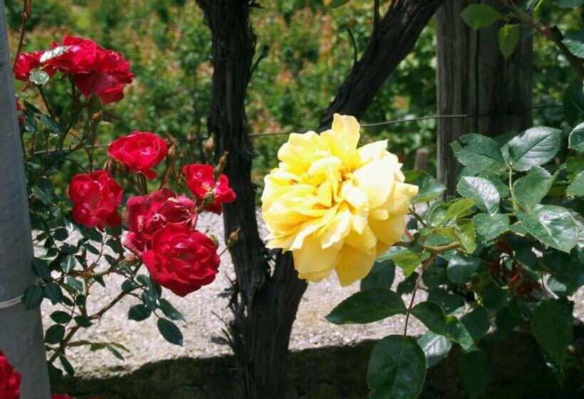 B&b Alle Ortensie Blu