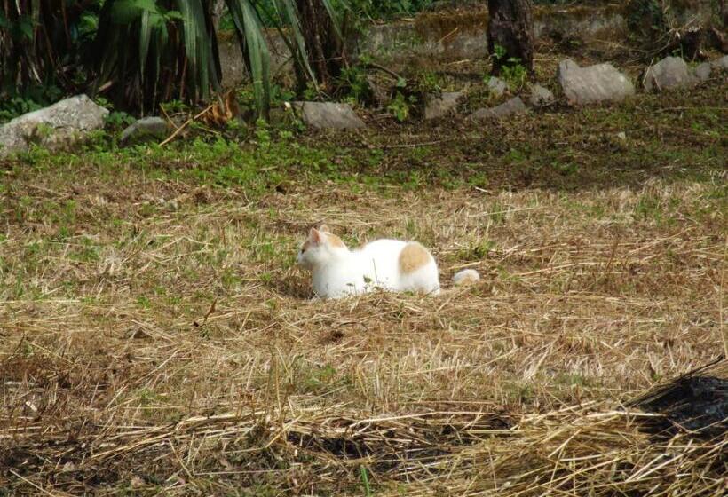 B&b Alle Ortensie Blu
