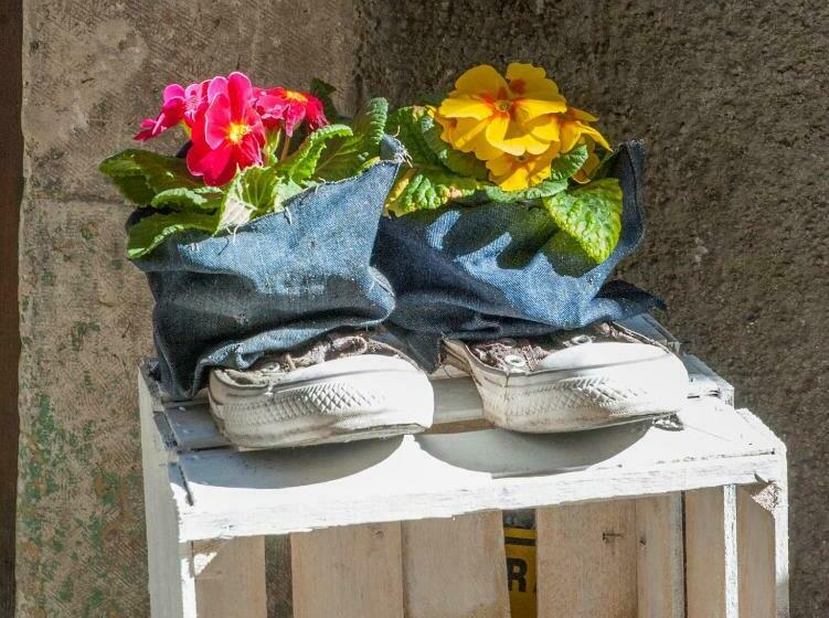 B&b Il Giullare