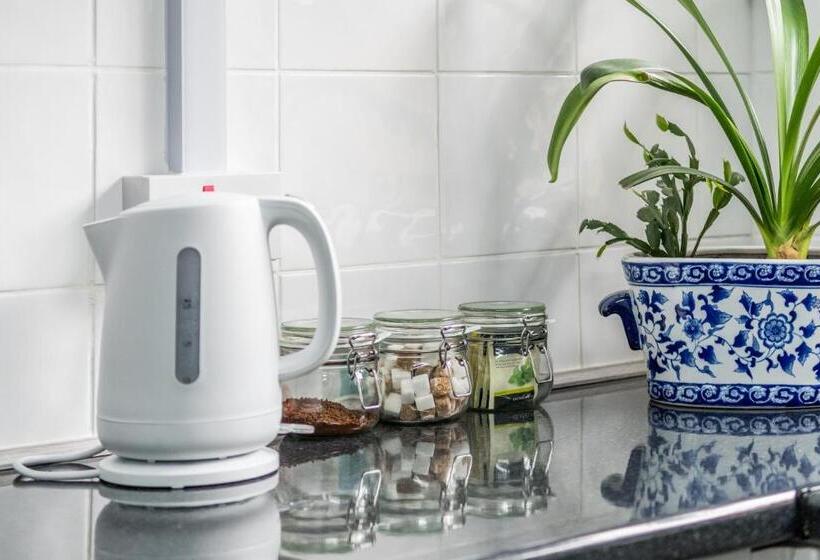 مبيت وإفطار Albert House