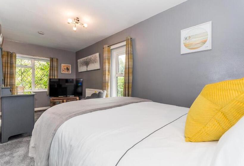 مبيت وإفطار Albert House