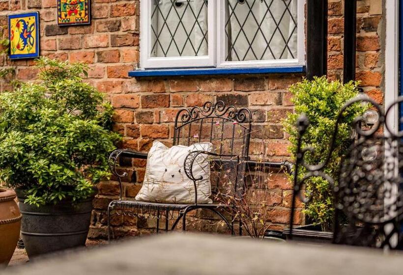 مبيت وإفطار Albert House