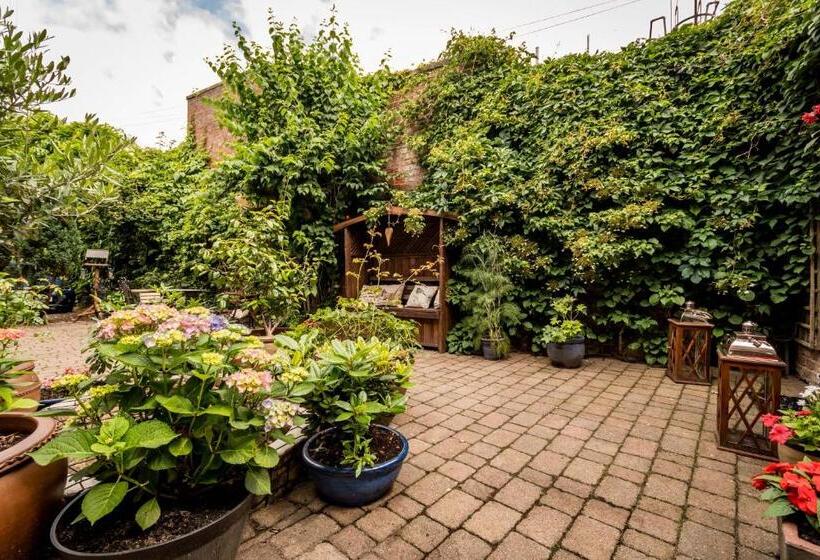 مبيت وإفطار Albert House