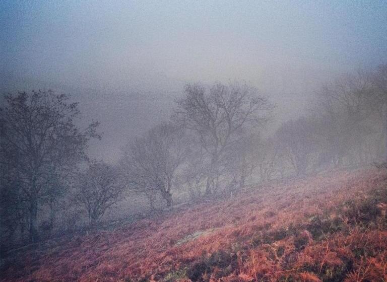 مبيت وإفطار Barmoors