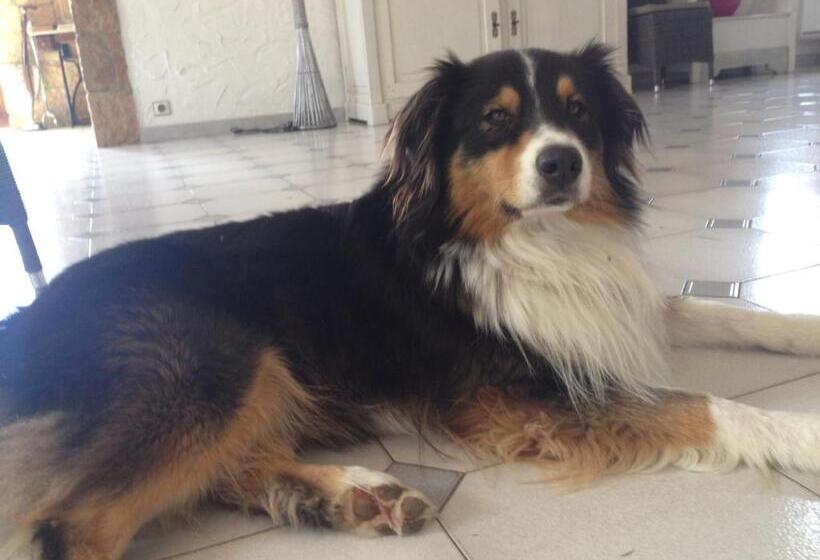 住宿加早餐  Bastide De L Ovalie