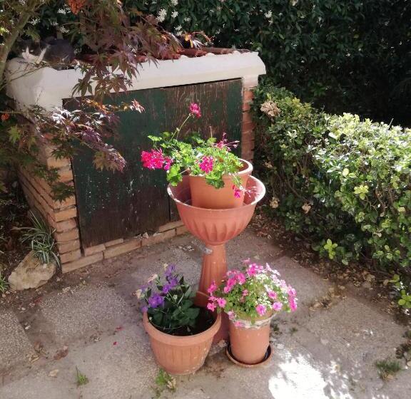 민박 Bb Smallville