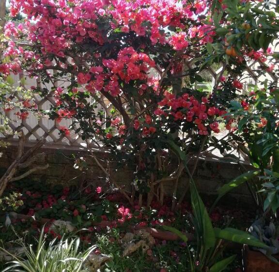 민박 Bb Smallville