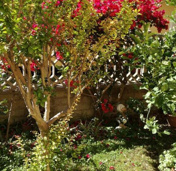 민박 Bb Smallville