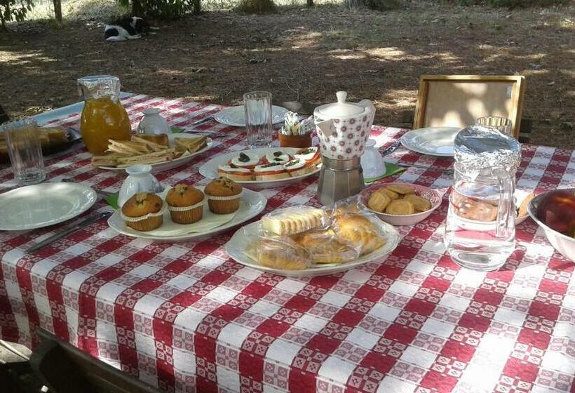 تختخواب و صبحانه Campo Alle Monache