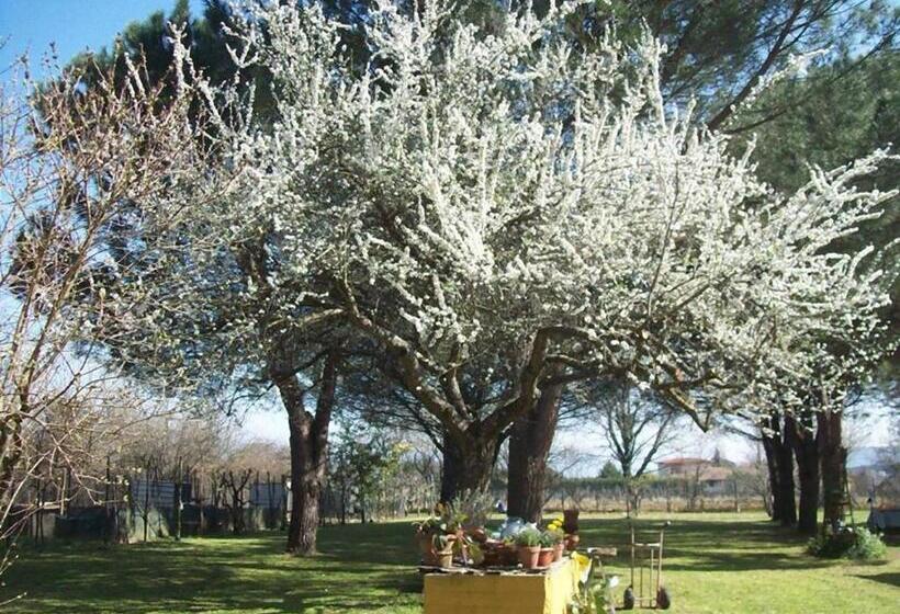 تختخواب و صبحانه Campo Alle Monache