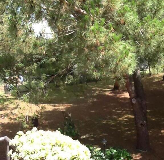 تختخواب و صبحانه Campo Alle Monache