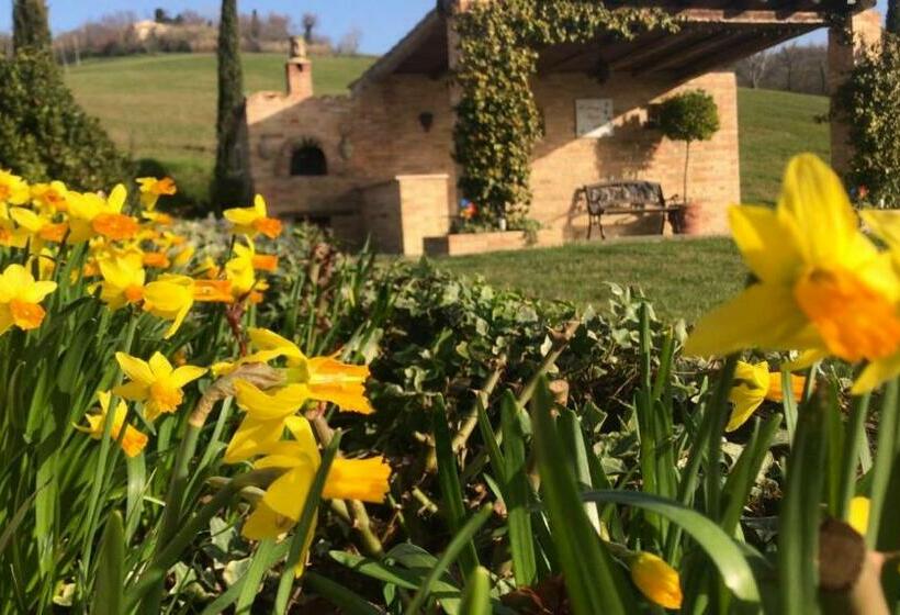 مبيت وإفطار Casale Delle Rondini