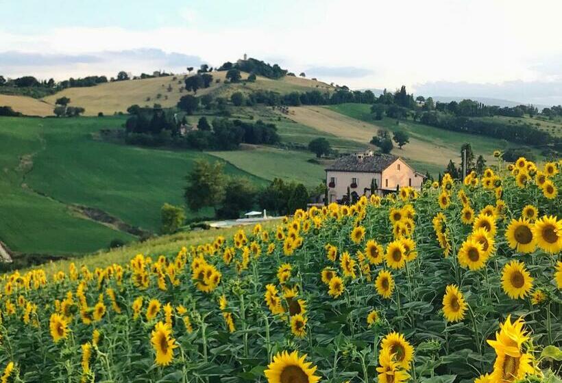 مبيت وإفطار Casale Delle Rondini