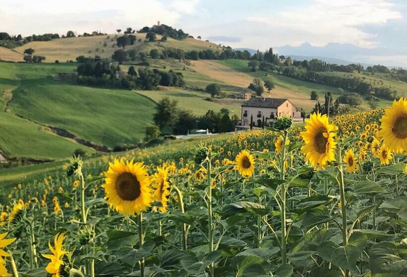 مبيت وإفطار Casale Delle Rondini