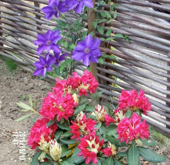 مبيت وإفطار Chambres D Hotes Du Vignoble