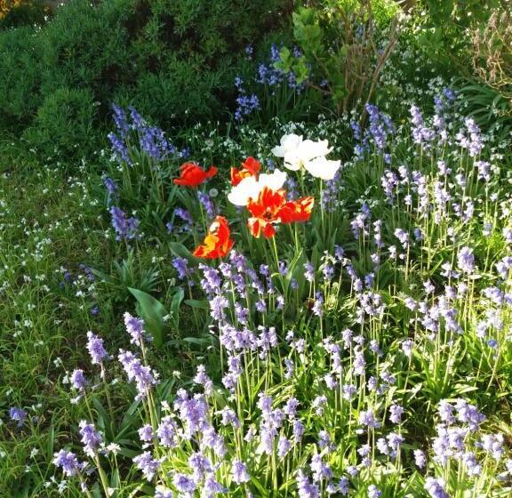 Bed and Breakfast Ellias