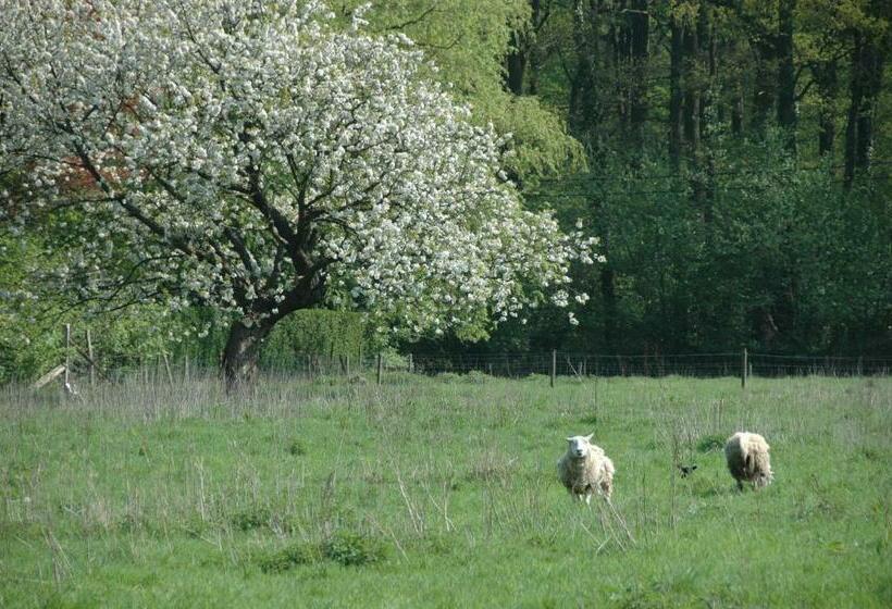 민박 Gastenlogies Blauwe Schaap