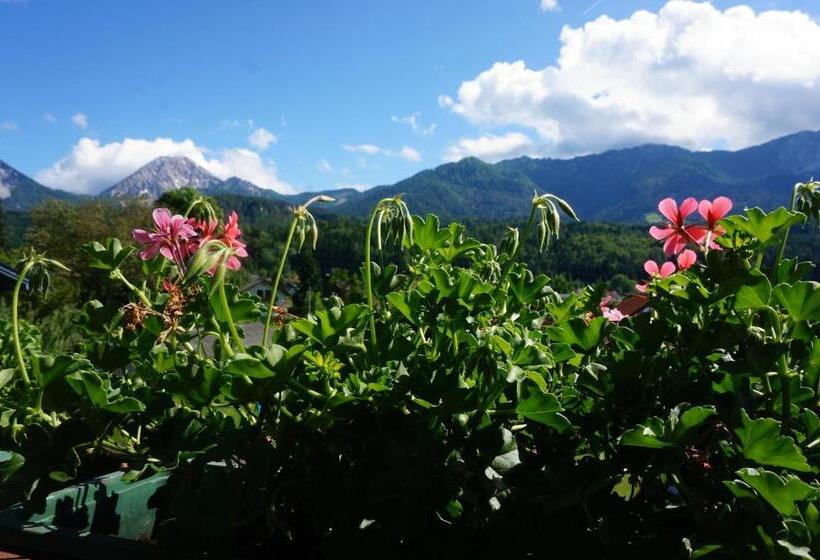 ベッドアンドブレックファースト Haus Peter