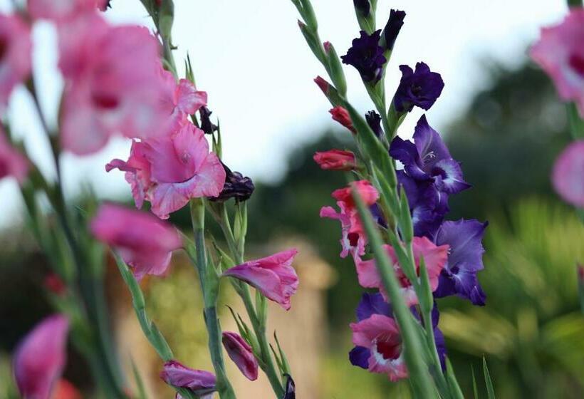 مبيت وإفطار La Petite Bérais