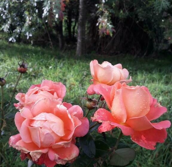 مبيت وإفطار La Petite Bérais