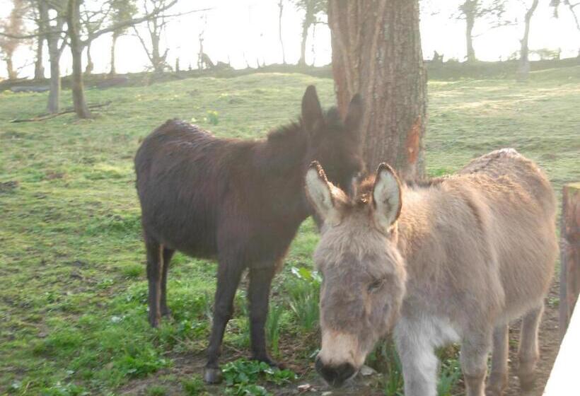 مبيت وإفطار Les Chambres D Ebalet