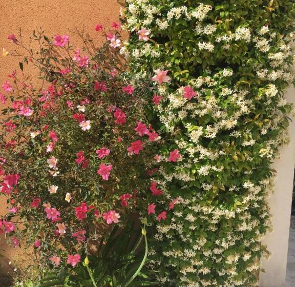 مبيت وإفطار Les Lavandes