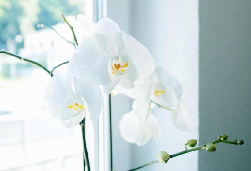 민박 Rooms 73   Helga Bartos