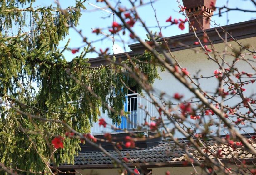 민박 Villa Roma Holidays