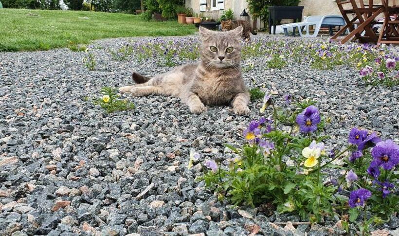 민박 Wisteria House