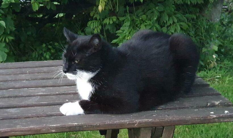 민박 Wisteria House