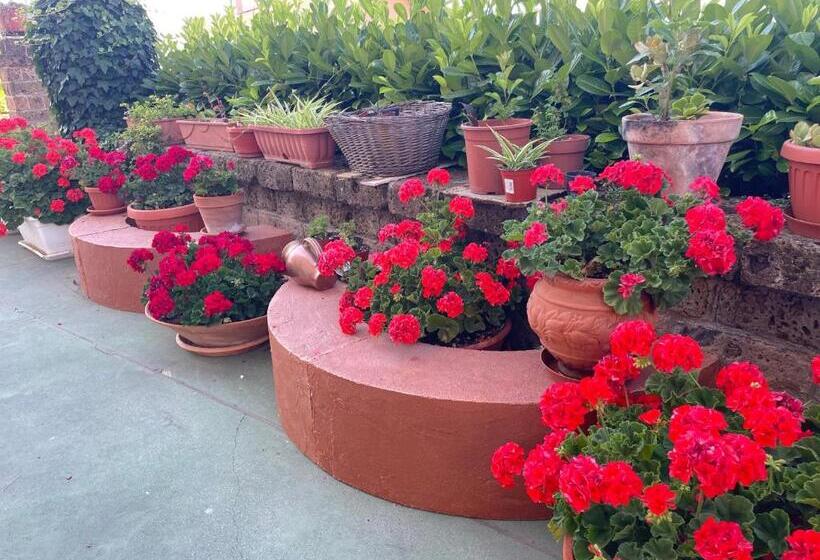 Bed and Breakfast Zembalo