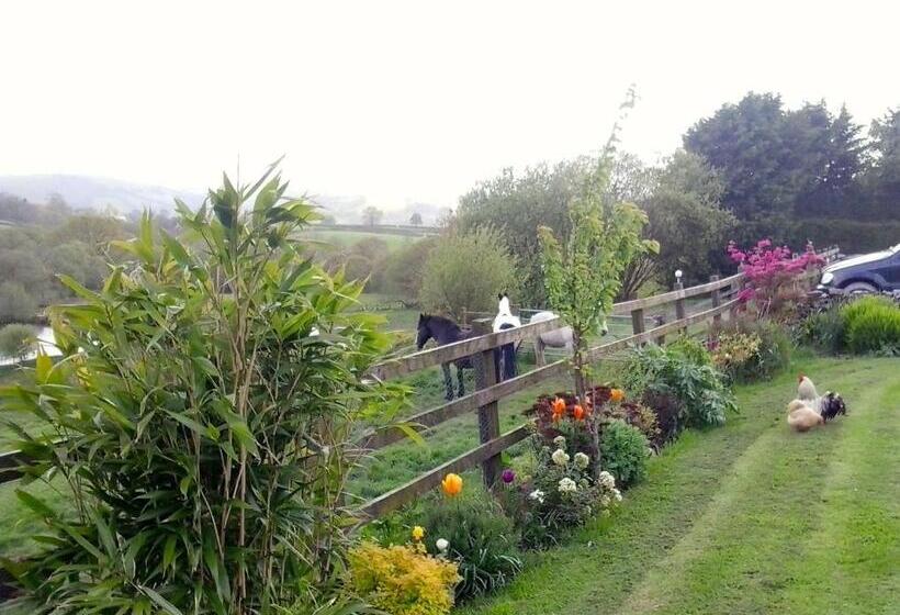 Five Saints Farmhouse B&b