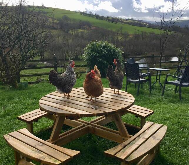 Five Saints Farmhouse B&b