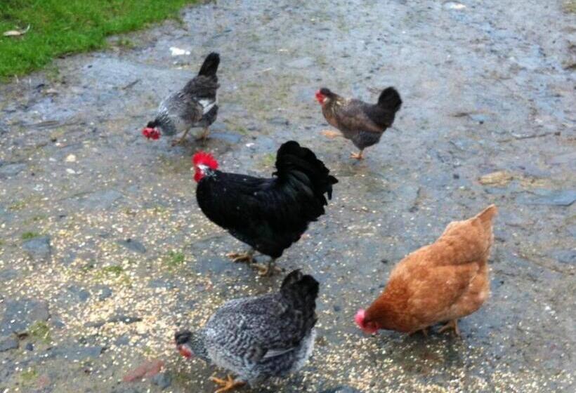 Five Saints Farmhouse B&b