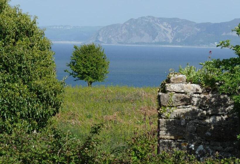 Gwyndaf Bed And Breakfast