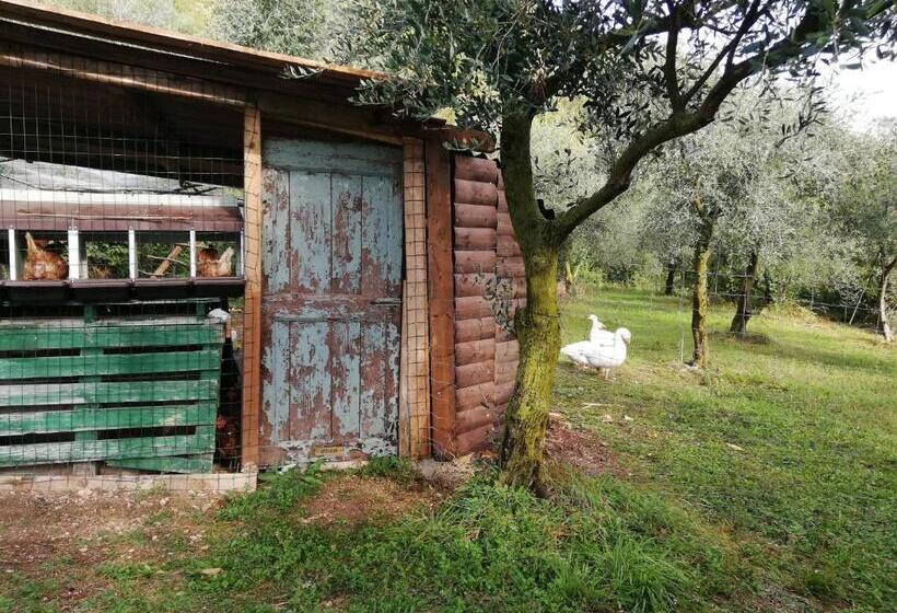 בית מלון כפרי Agriturismo Conte Brunello