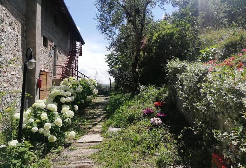 בית מלון כפרי Agriturismo Conte Brunello