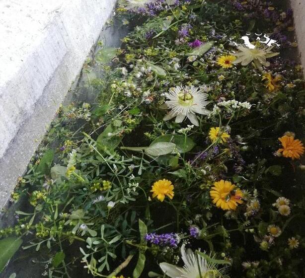 בית מלון כפרי Agriturismo Conte Brunello