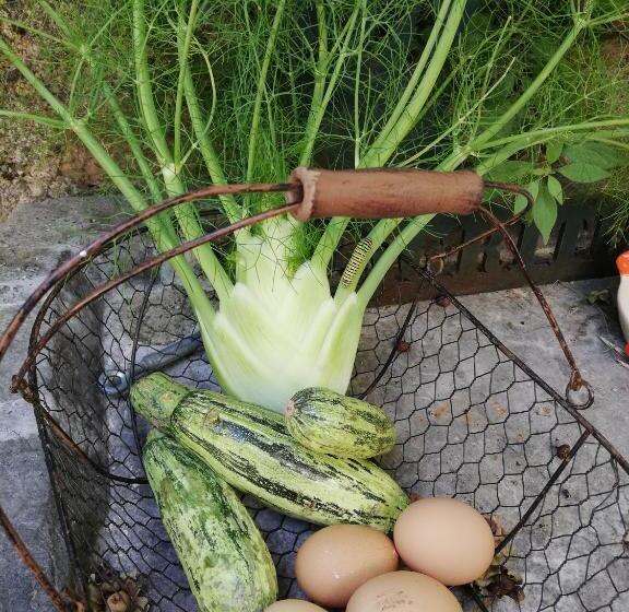 בית מלון כפרי Agriturismo Conte Brunello