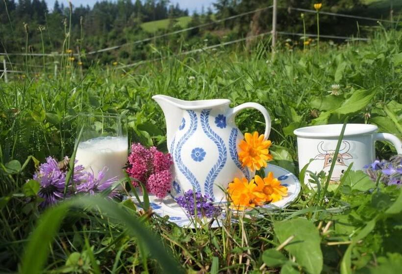 בית מלון כפרי Biohof Teufel