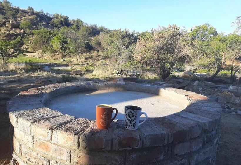 בית מלון כפרי Denmark Farm Stay