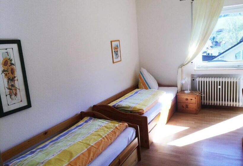 酒店 Ferienhof Christmann