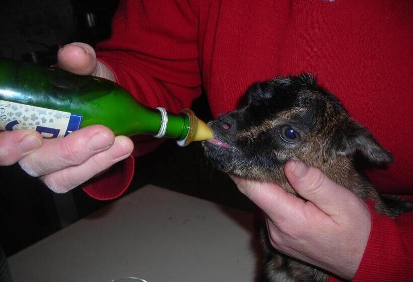 فندق La Bardelière