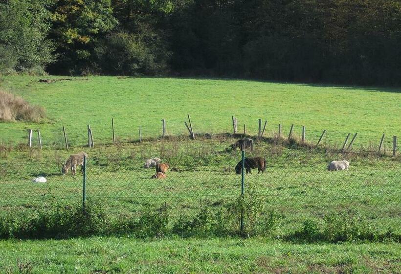ホテル La Ferme De Werpin